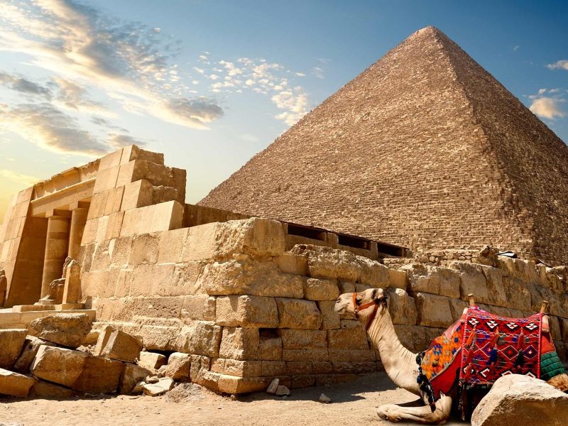 Book Tours, Activities and Airport Transfers in Egypt