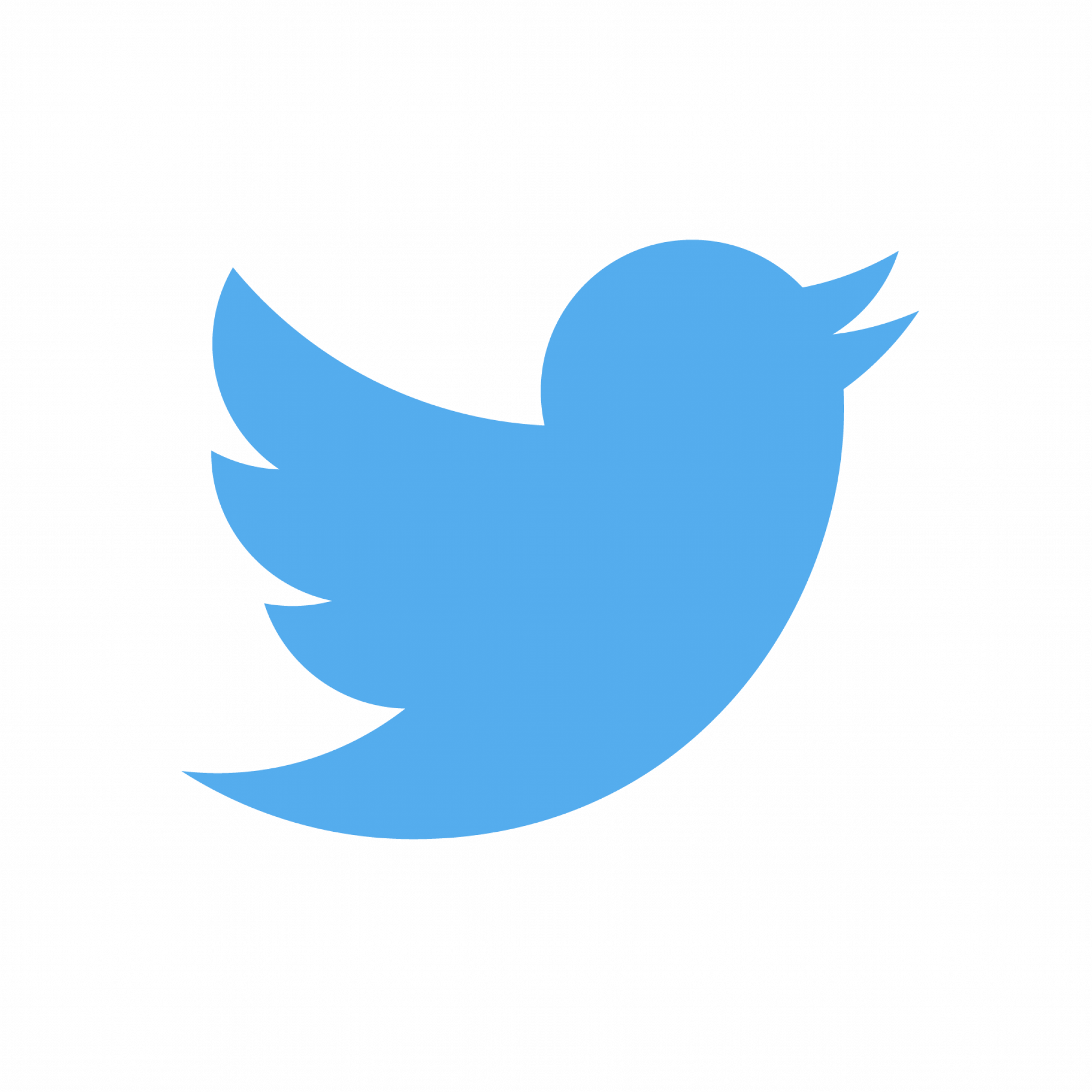 Значок твиттера. Твиттер лого. Логотип Твиттер построение. Птичка Твиттер. Twitter user
