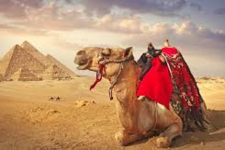 pyramids of Giza Tour, included tickets&Lunch&Egyptologist guide