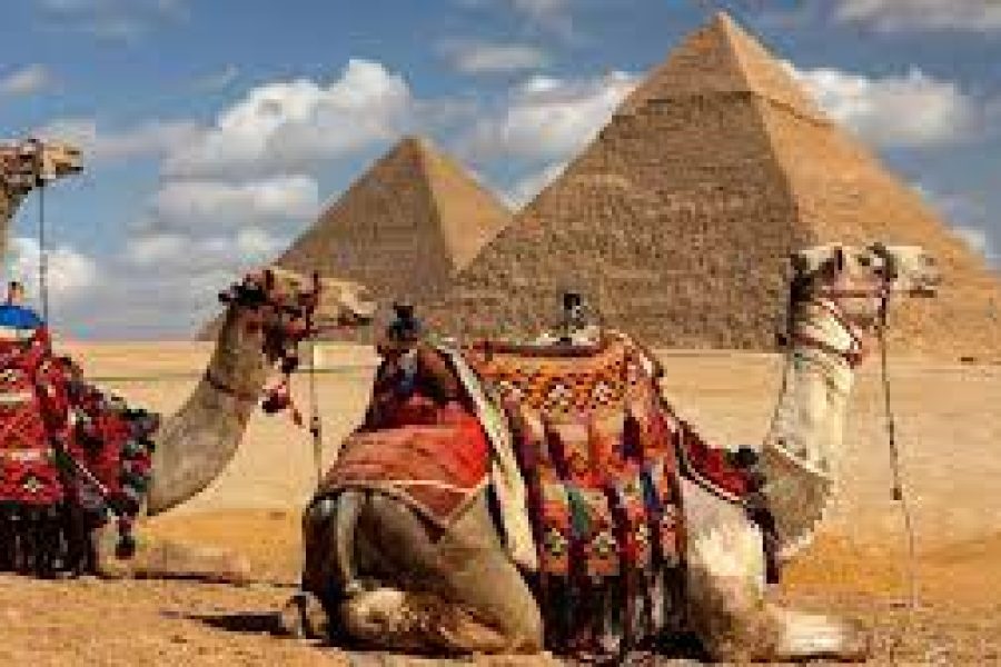 ViP All inclusive Private Giza Pyramids,Sakkara,