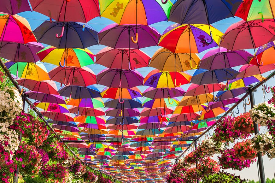 Dubai: Skip-The-Line Ticket to Dubai Miracle Garden