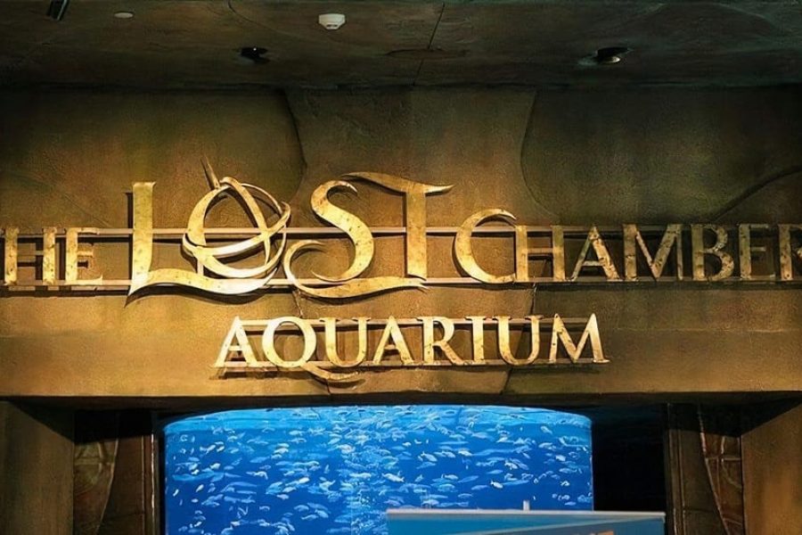 Dubai: The Lost Chambers Aquarium Entry Ticket